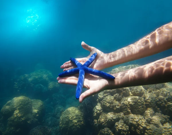 Руки тримають велику блакитну зірку — стокове фото