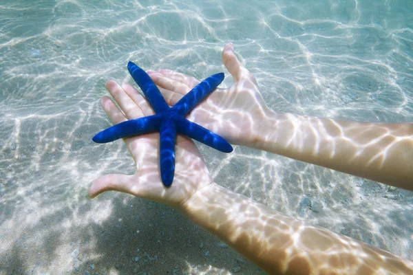 Étoile de mer bleue sur les paumes — Photo