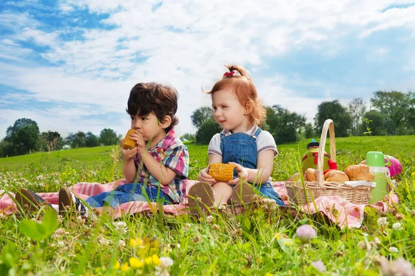 Dwa cute dzieci jeść obiad na piknik — Zdjęcie stockowe