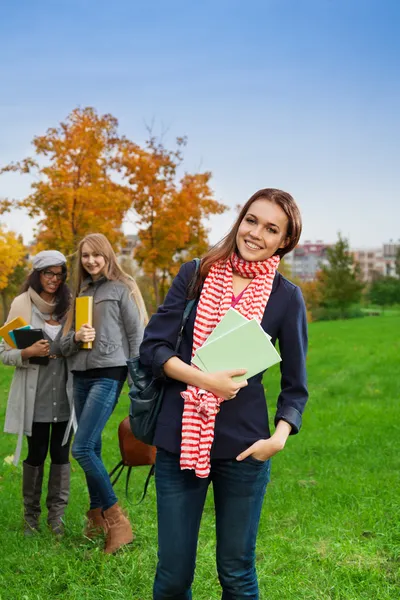 Es wird ein wunderbares Jahr — Stockfoto