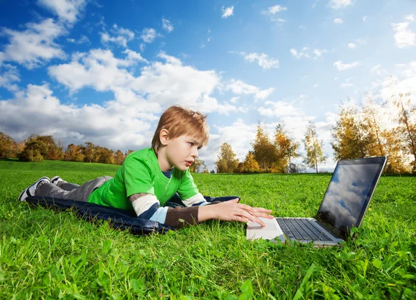 Cute boy is browsing in park Royalty Free Stock Images