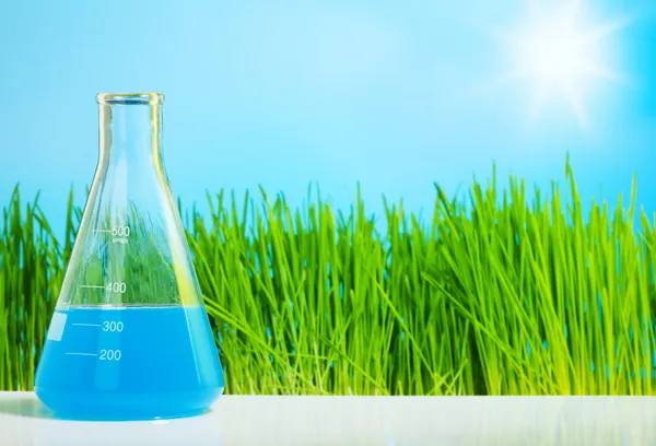 Spring chemistry — Stock Photo, Image