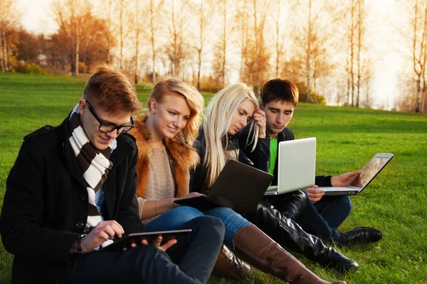 Cuatro estudiantes trabajando en computadoras portátiles en el parque —  Fotos de Stock