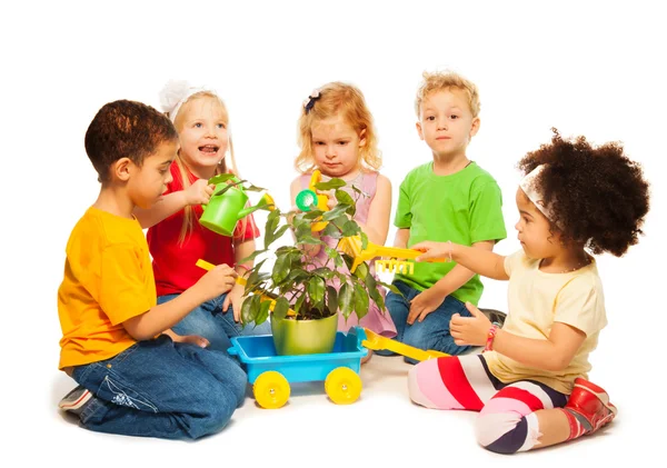 Kids and plant — Stock Photo, Image