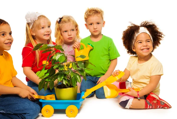 Planting tree — Stock Photo, Image