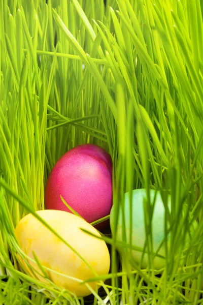 Tres huevos de Pascua en hierba —  Fotos de Stock