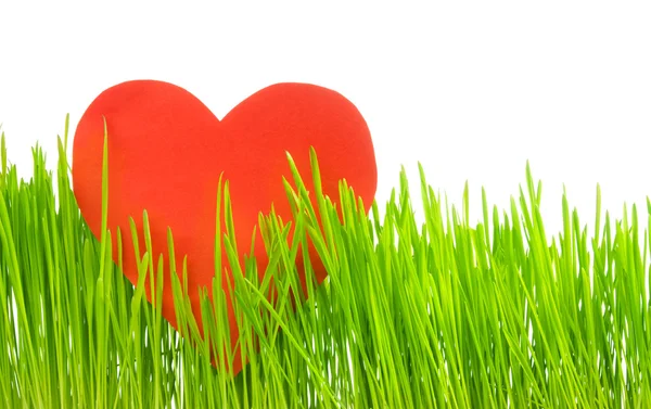 Spirito di primavera e di San Valentino — Foto Stock