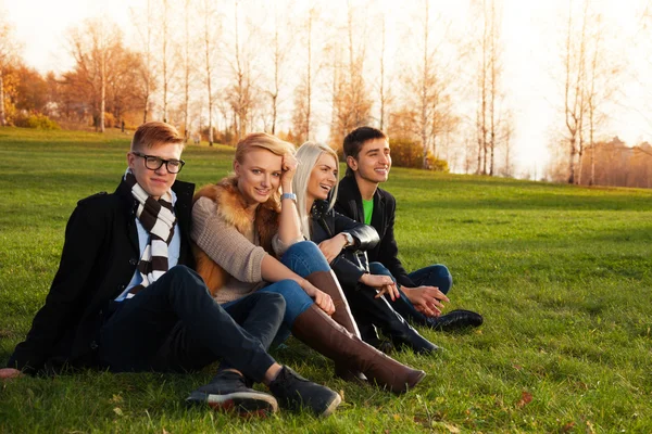 Glückliche Freunde sitzen auf grünem Gras — Stockfoto