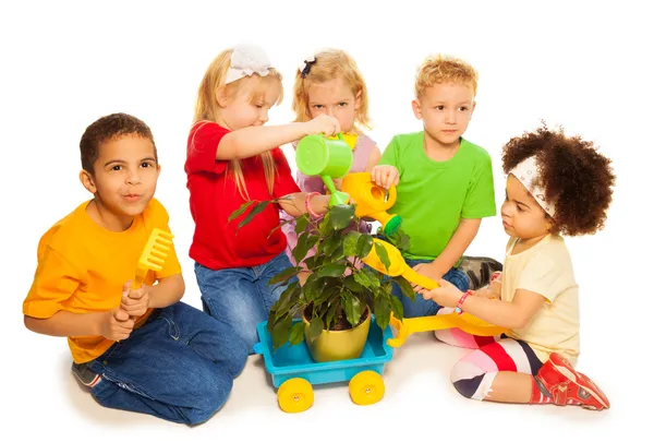 Spring chores — Stock Photo, Image