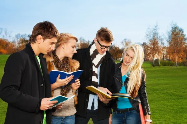 Czterech studentów Omawiając temat w parku — Zdjęcie stockowe