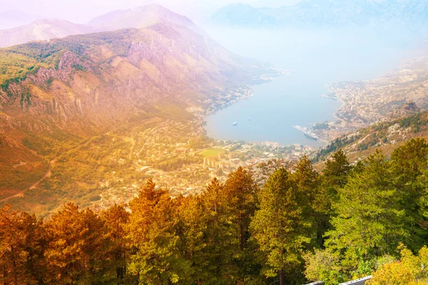 Kotor Stadt von oben — Stockfoto