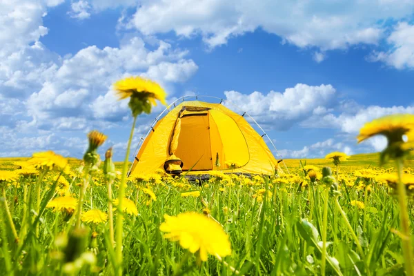Camping in dandelion tent — Stock Photo, Image