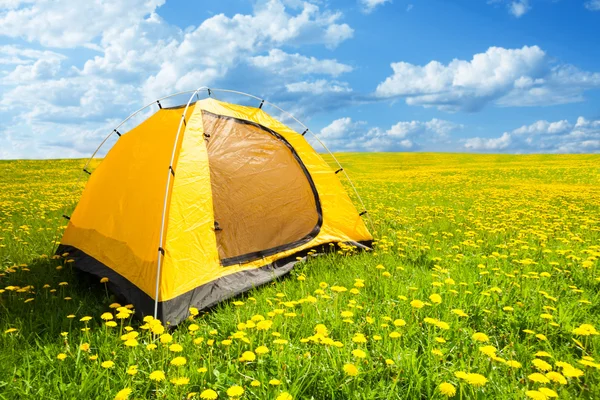 キャンプ テント — ストック写真
