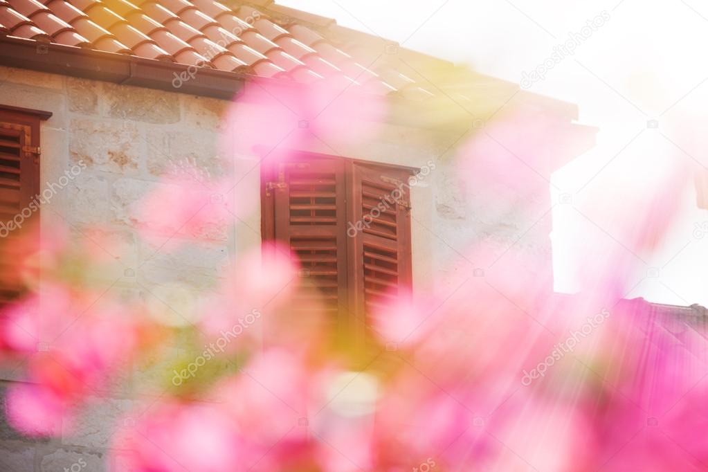 House and spring pink cherry flowers