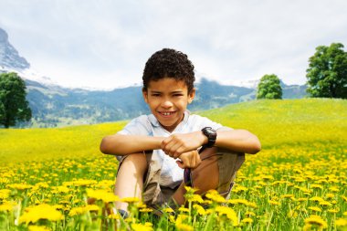 Sarı dandelions alanları