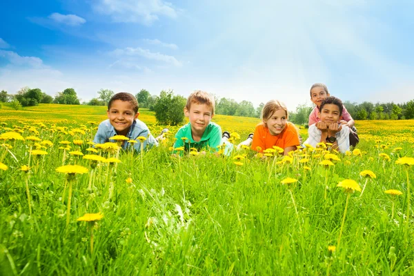 Vijf kinderen in de paardebloem veld — Stockfoto