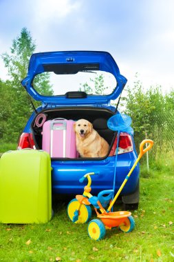 köpek, Çantalar, oyuncak araba yolculuk için hazır