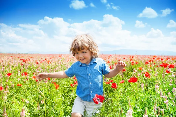 Running in poppy fired — Stock Photo, Image