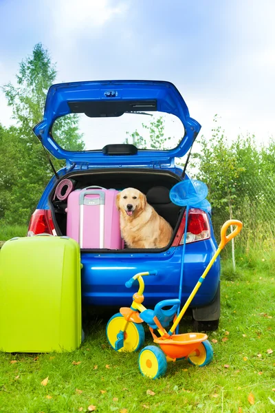 Hond, tassen, speelgoed, auto klaar voor de reis — Stockfoto