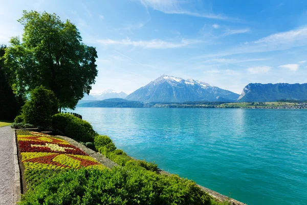 Ogród, góry jezioro i swiss thun — Zdjęcie stockowe