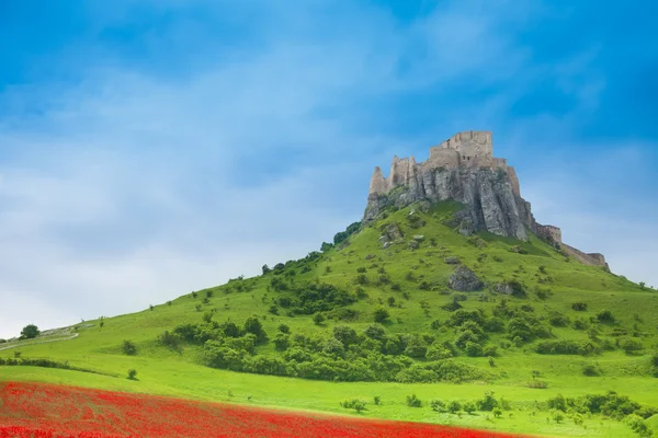 Замок Спис весной — стоковое фото