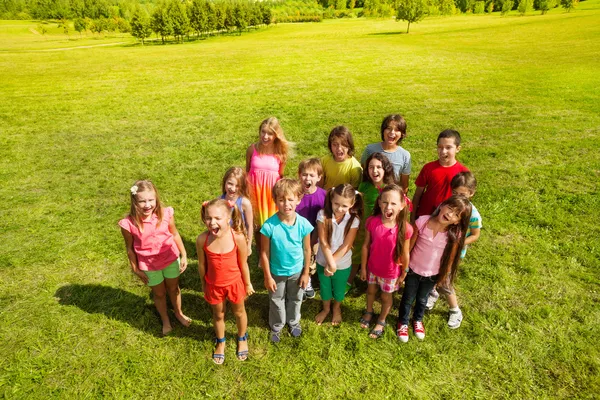 Große Gruppe von Kindern auf dem Rasen — Stockfoto
