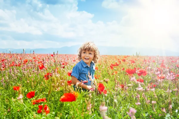 Маленький мальчик на маковом поле — стоковое фото
