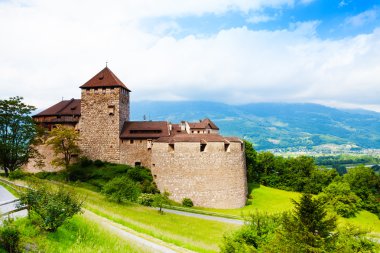 Royal castle in Vaduz clipart