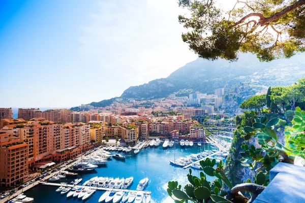 Марина в городе Монако — стоковое фото
