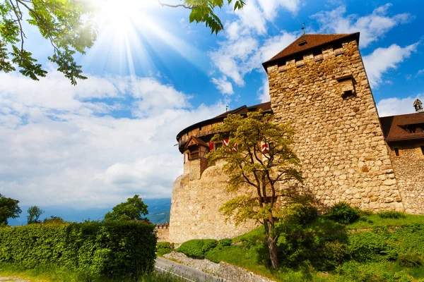 Vaduz kasteel — Stockfoto