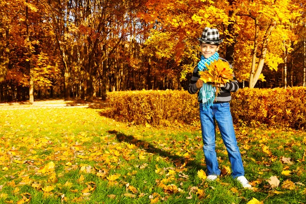 秋天公园的男孩 — 图库照片