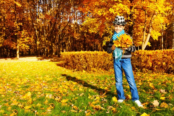 Menino no parque de outono — Fotografia de Stock