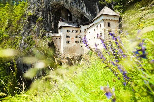 Predjama-Burg — Stockfoto