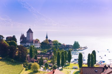 Spiez kale thun Gölü