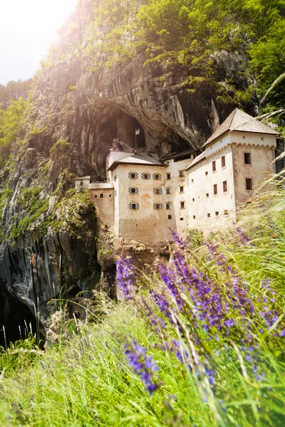 Castelo de Predjama — Fotografia de Stock