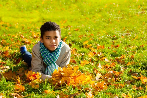 Niño con hojas de otoño — Foto de Stock