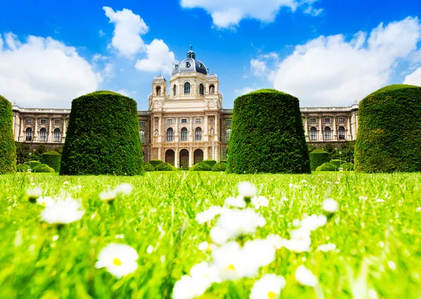 Muzeum Historii Naturalnej w Wiedniu — Zdjęcie stockowe