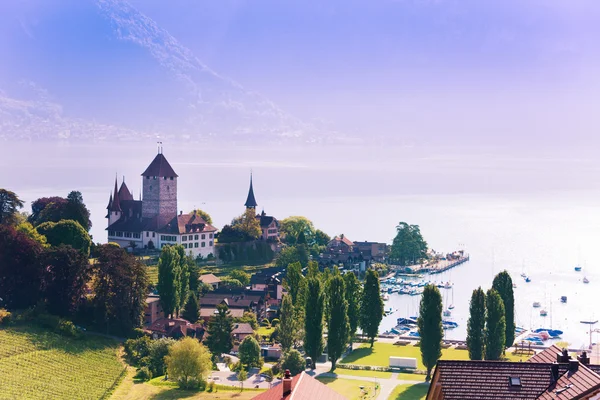 Castello di Spiez sul lago di Thun — Foto Stock