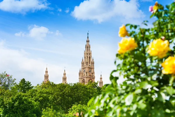 Rathaus entre rosas — Foto de Stock