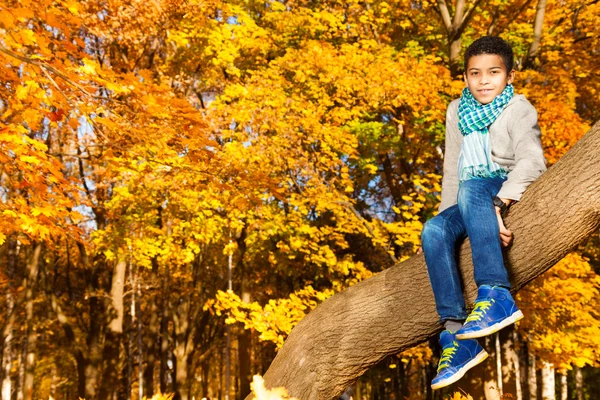 Niño sentado en el árbol —  Fotos de Stock