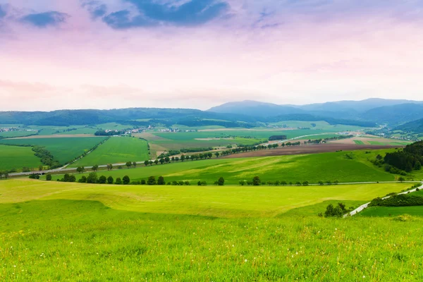Slovenská pšeničné pole hills — Stock fotografie
