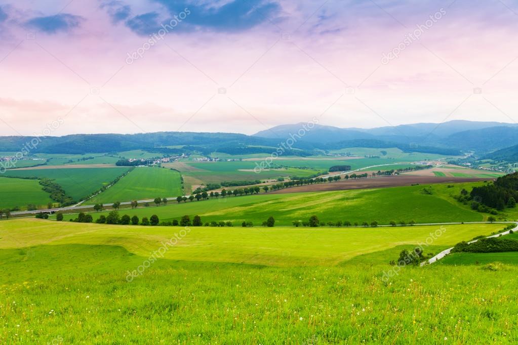 Slovakian wheat fields hills