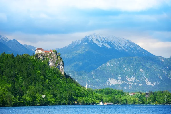 Bled castle — Stock Photo, Image