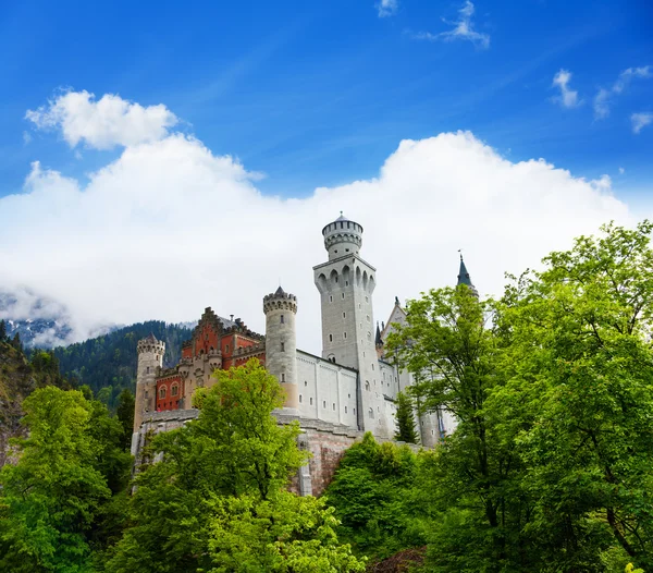 Blick auf Neuschwanstein im Wald — Stockfoto