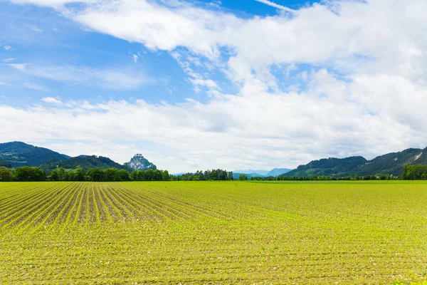 Hochosterwitz fields — Stock Photo, Image