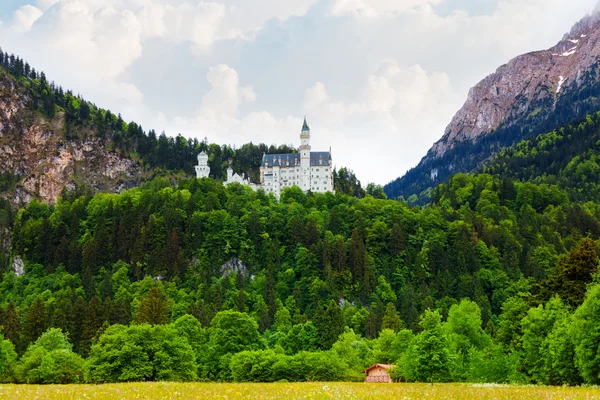 Vy över slottet neuschwanstein — Stockfoto