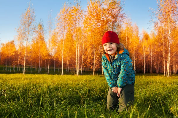 Niño feliz en el parque de otoño — Foto de Stock