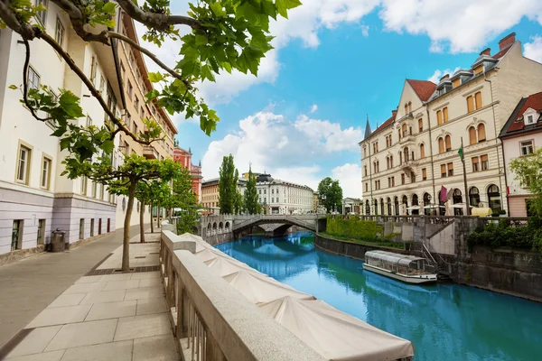 Ljubljana floden vallen — Stockfoto