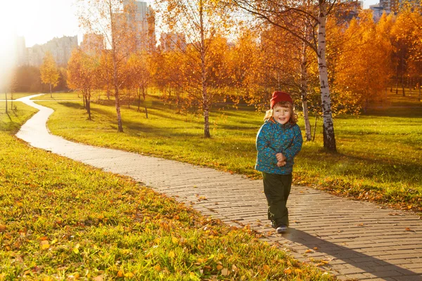 Liten pojke promenad i höst park — Stockfoto