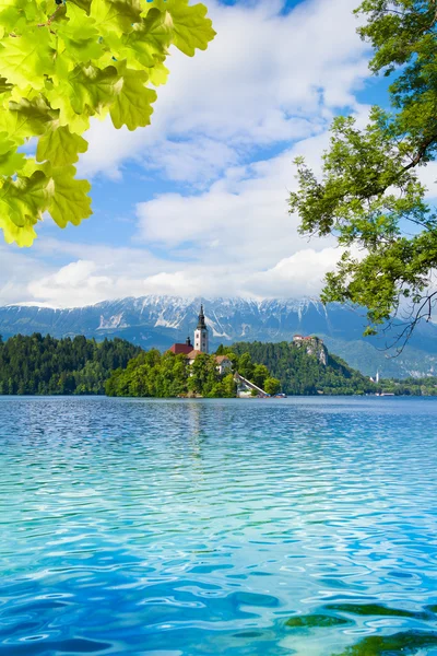 Panorama dell'isola di Bled — Foto Stock